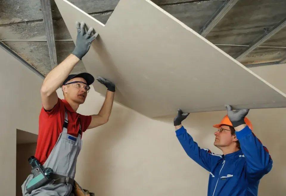 Two workers install drywall on a ceiling. One on a ladder. Both wearing gloves.